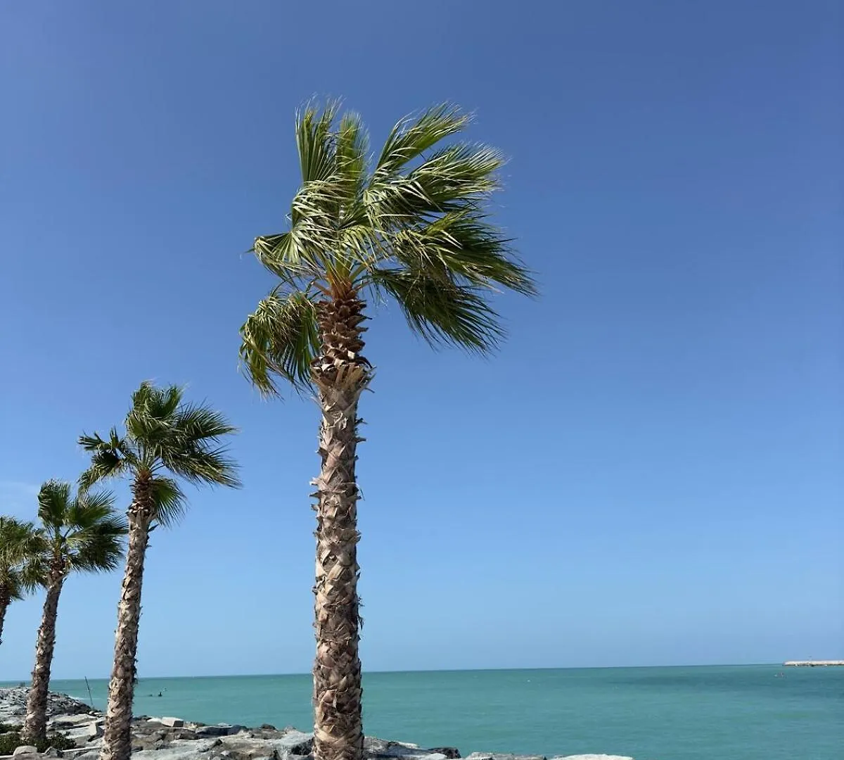 Διαμέρισμα La Mer 1Br Ocean View 4 Pax Ντουμπάι Ηνωμένα Αραβικά Εμιράτα